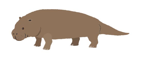 ペゾシレンイラスト