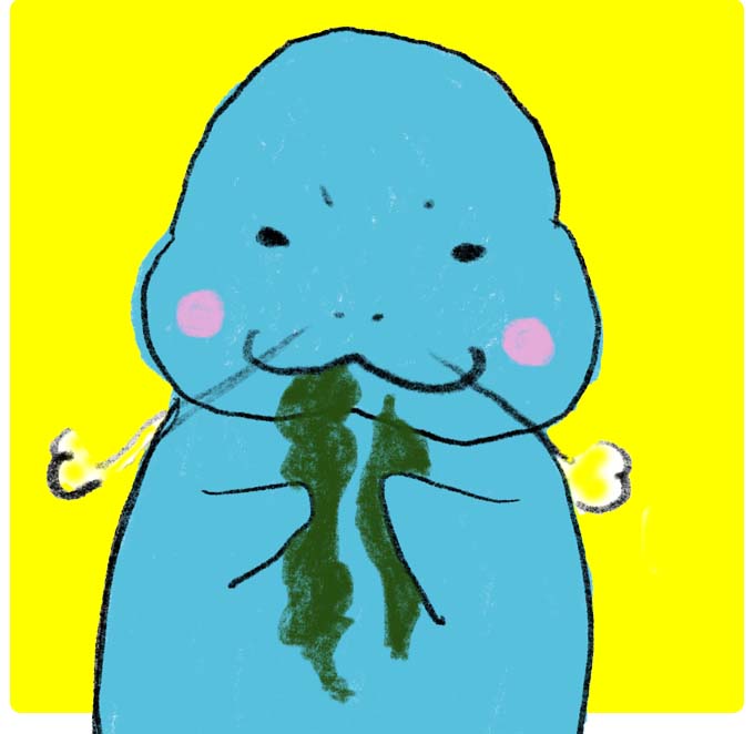 カイギュウアイコンエッヘン
