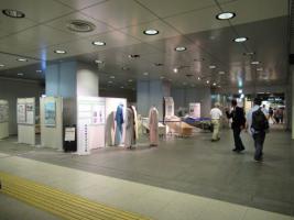 写真:パネル展全景2