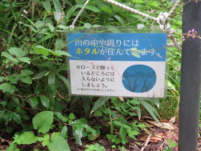 西岡水源池3