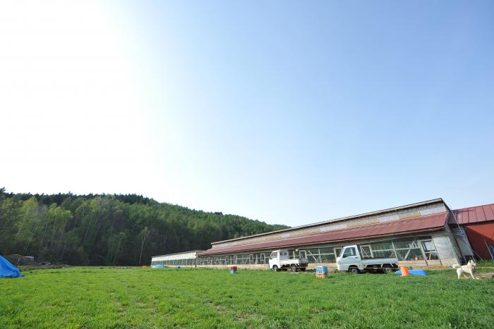 写真:農場の様子