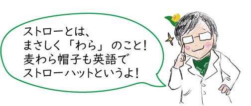 藁はまさしくストローのこと