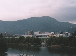 イメージ写真