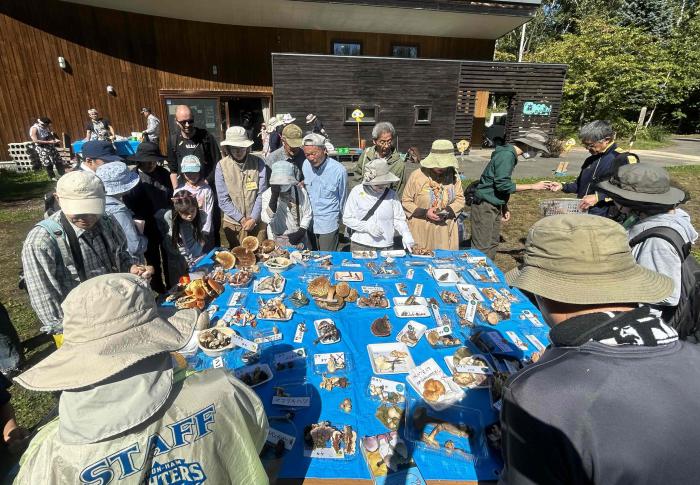 活動団体(藻岩山きのこ観察会):家族きのこ観察会