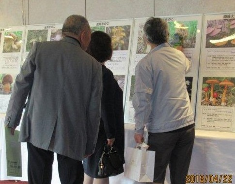 活動団体(藻岩山きのこ観察会):きのこ写真展