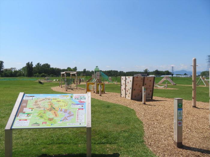 アスレチック広場の全景