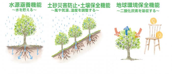 森林整備