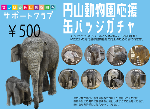 円山動物園応援缶バッジガチャを設置しています