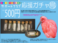 鳥ガチャ