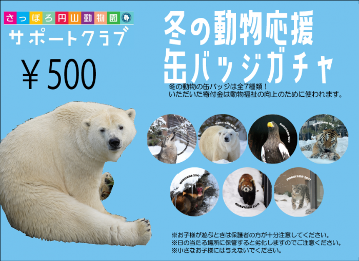 冬の動物