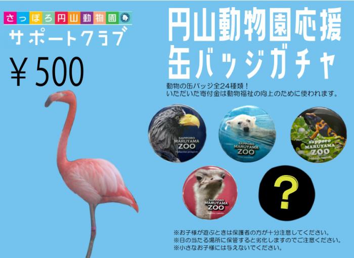 応援ガチャ(色々缶バッジ)
