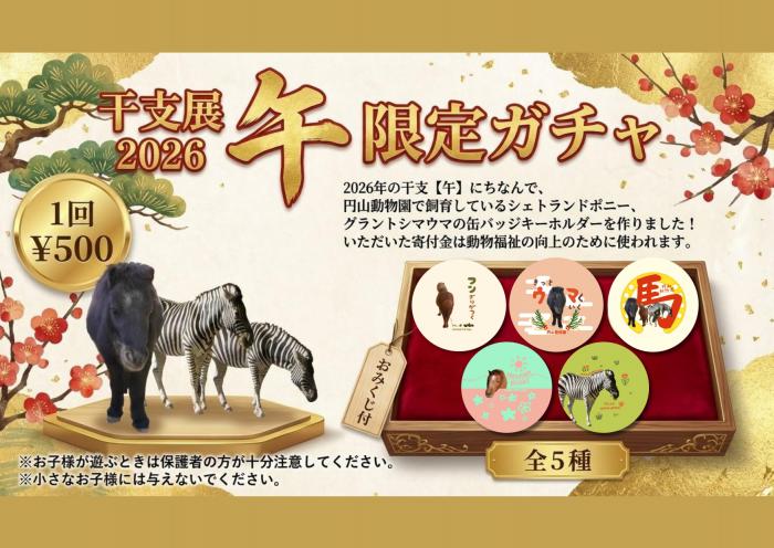 午干支展