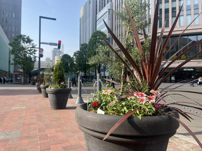 札幌駅前通ストリートガーデン