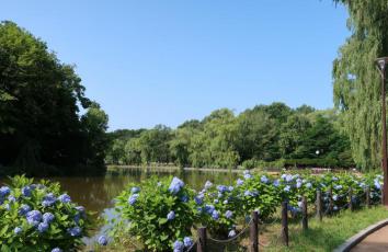 月寒公園2