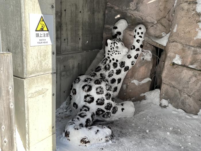 ユキヒョウの雪像(2023年のもの)