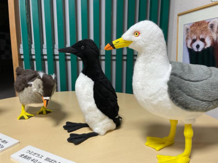 第一回海鳥展の様子2