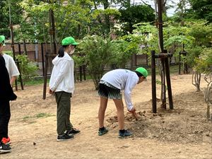 190002_ローソン_募金を活用した小学校での植樹活動