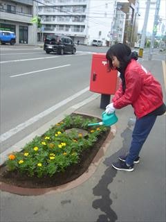 平岸三条郵便局植花