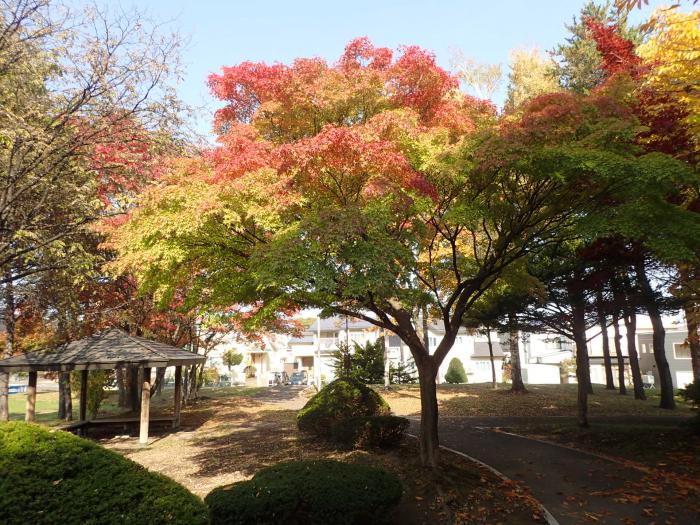 吉田川公園