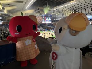 レバンガ6
