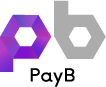 PayBロゴ(電算)