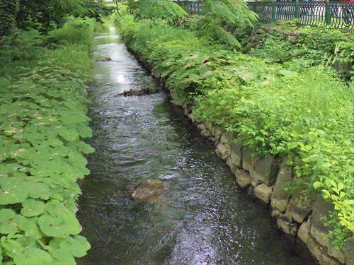 鴨々川(創成川)の写真