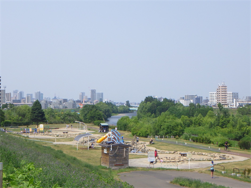 豊平川の写真