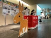 240911パネル展2