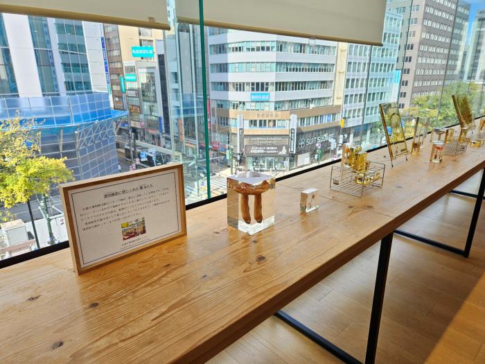 アクリル標本展示
