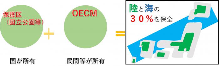 30by30概要