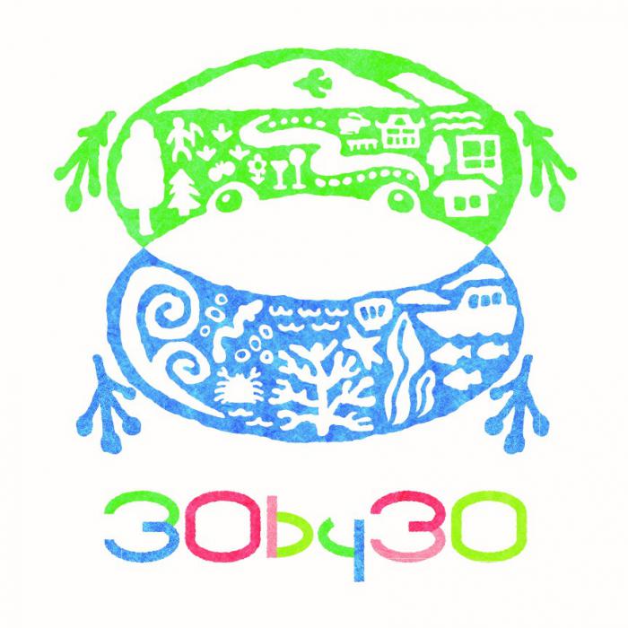 30by30ロゴ