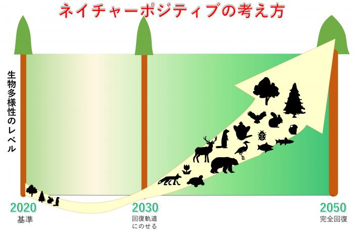 ネイチャーポジティブ