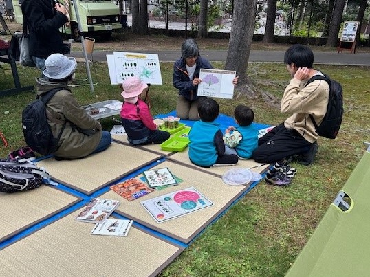 どんぐり解説