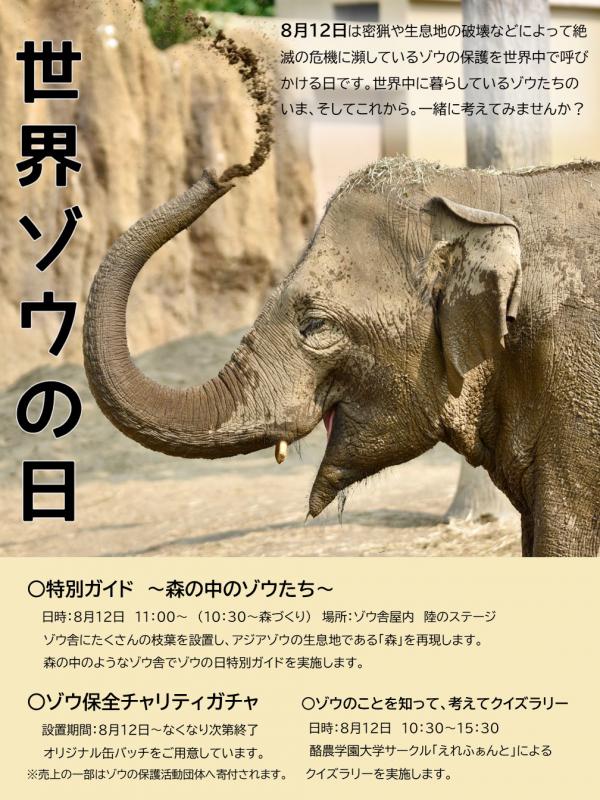 ポスター