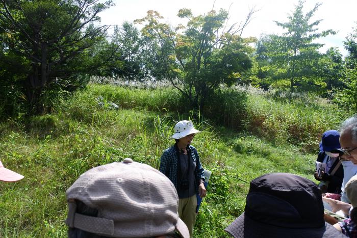 植物を観察している様子