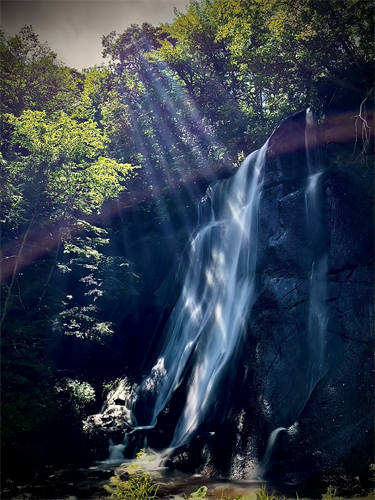 鱒見の沢川の写真