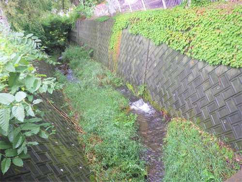 桑園新川の写真