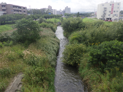 厚別川の写真