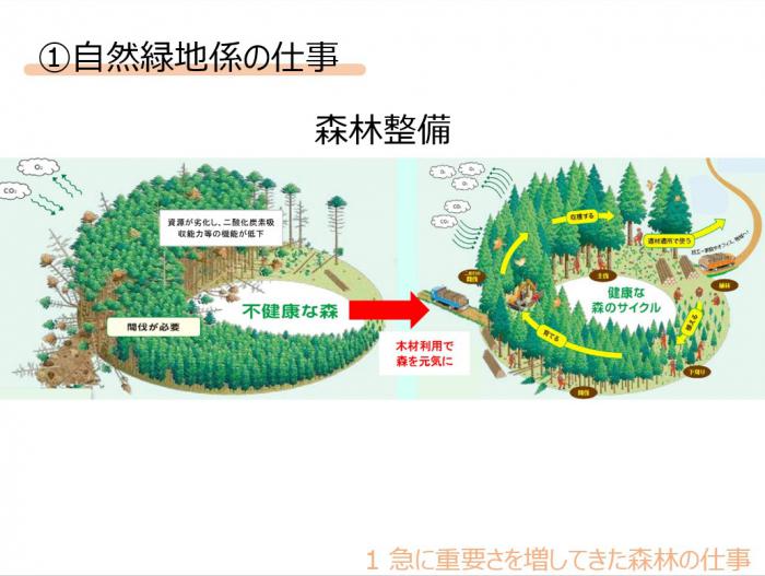 自然緑地仕事