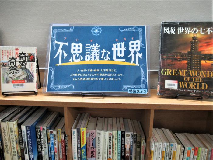 「不思議な世界」展示写真1