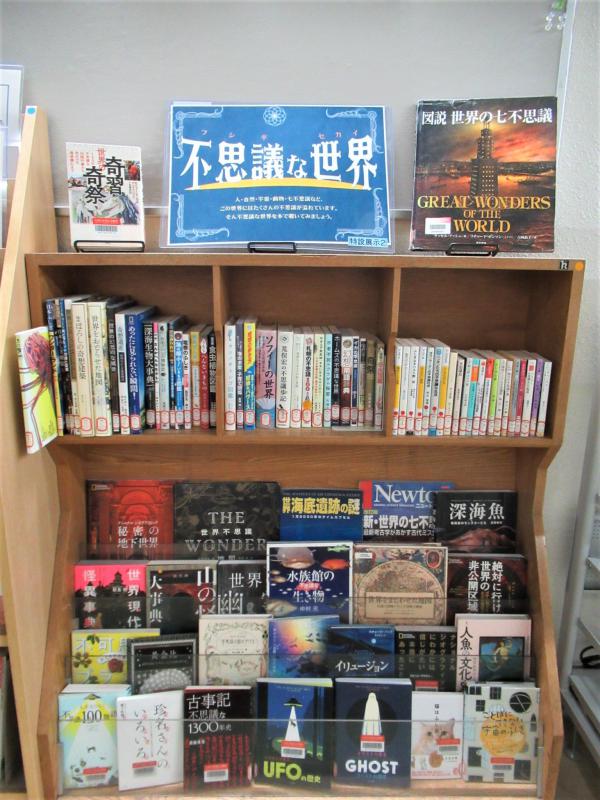 「不思議な世界」展示写真2