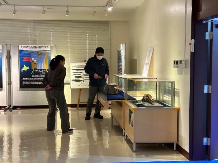 クジラ化石展示の入れ替えの様子1