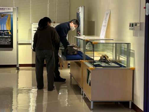 クジラ化石展示の入れ替えの様子2