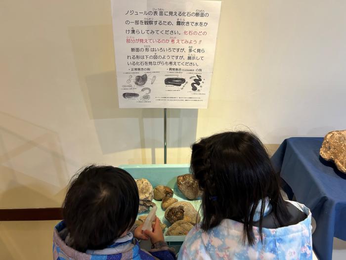 アンモナイト入りノジュールへの水かけの様子