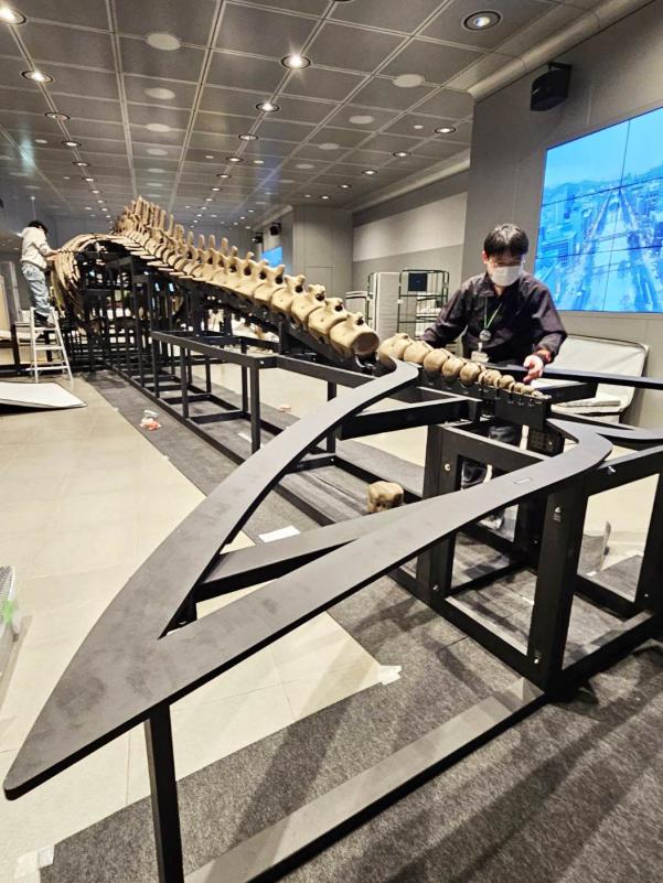 クジラ組み立て背中部分