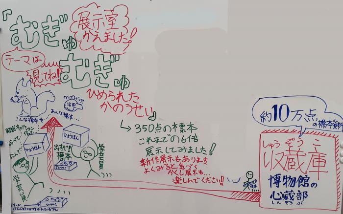 収蔵庫にある約10万点の資料のなかから、350点を展示