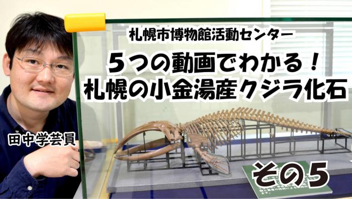 クジラ動画5