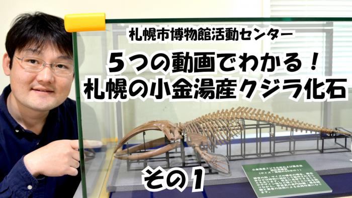 クジラ動画その1