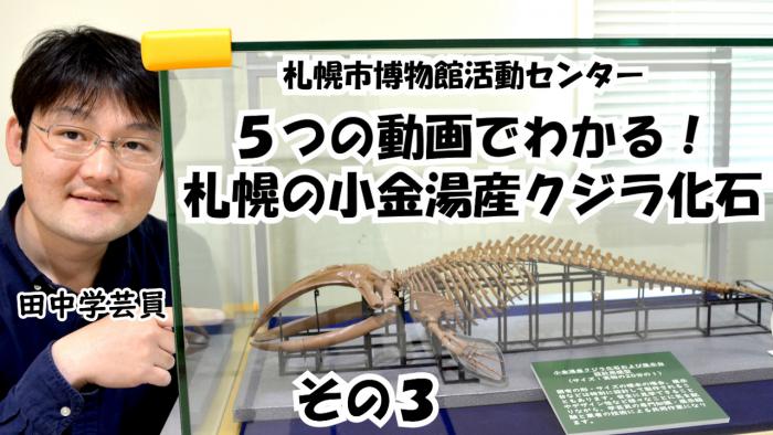 クジラ動画その3