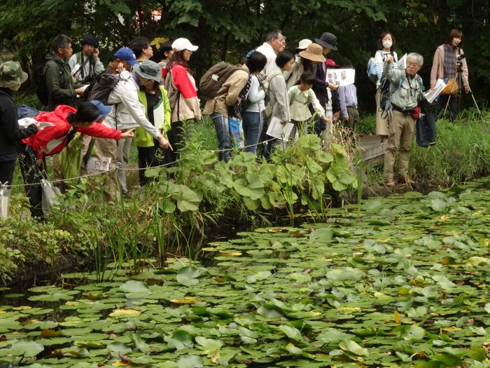 生き物観察会1